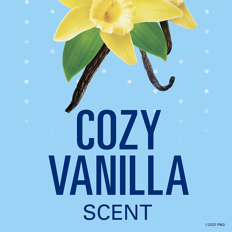 Secret Fresh Invisible Solid Vanilla