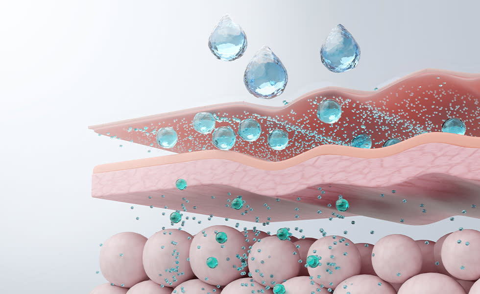 Illustration of moisture absorption and retention across the skin barrier layers