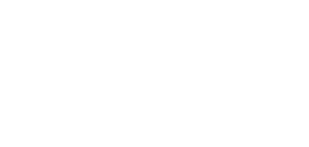 LIMITED EDITION WNBA & Secret logo