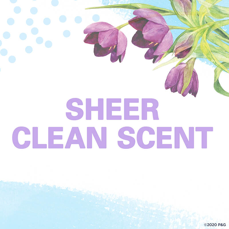 Sheer Clean Scent