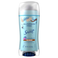 Aluminum Free Dry Spray Secret 55 OFF Www pinnaxis