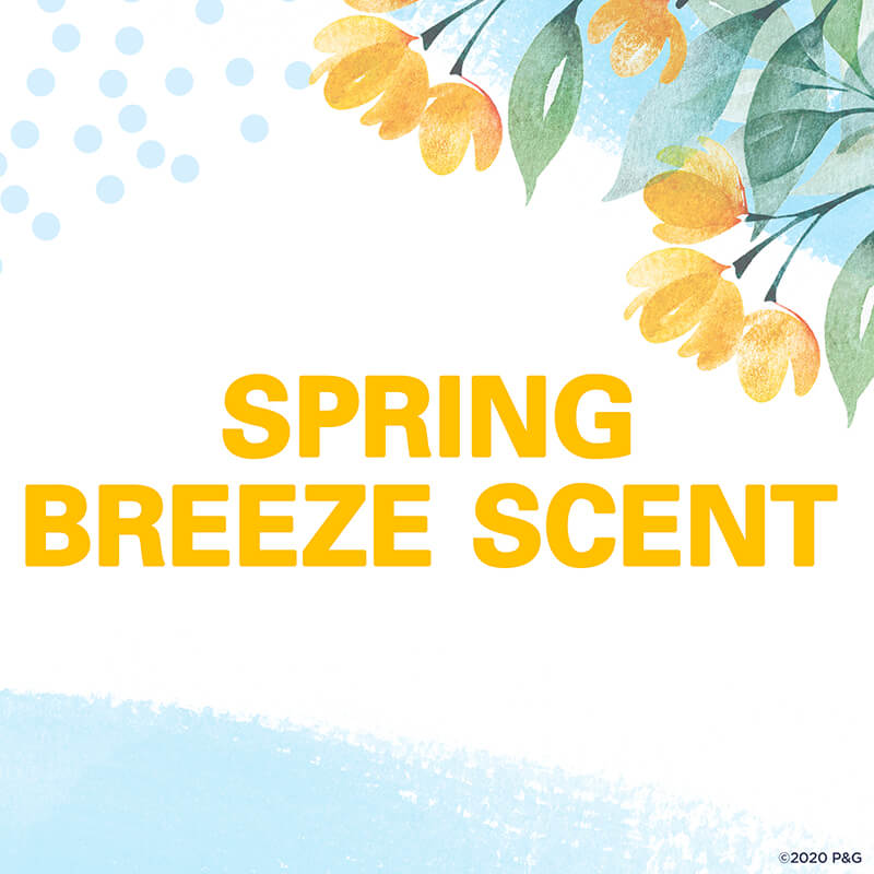 Original Invisible Solid Deodorant Spring Breeze 5