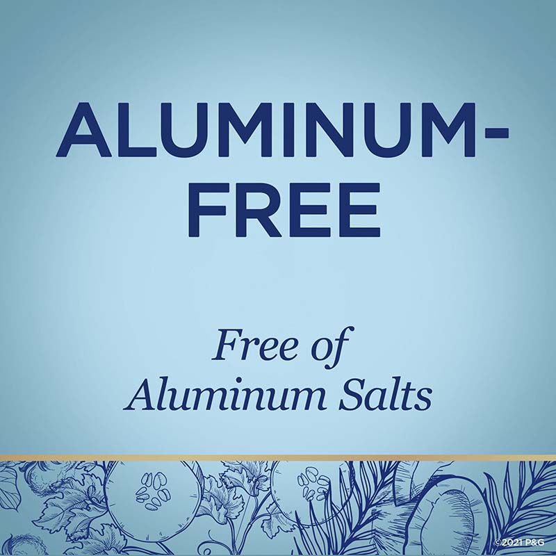 Aluminum free , free of aluminum salts