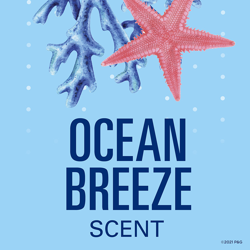 Ocean Breeze Scent