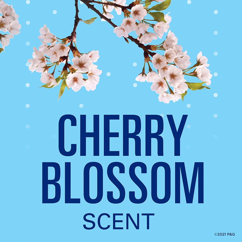 Fresh Clear Gel Cherry Blossom