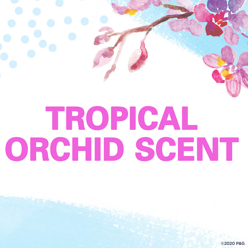 Secret Original Invisible Solid Tropical Orchard Scent