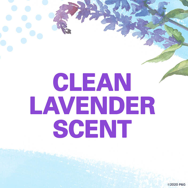 Clean Lavender Scent