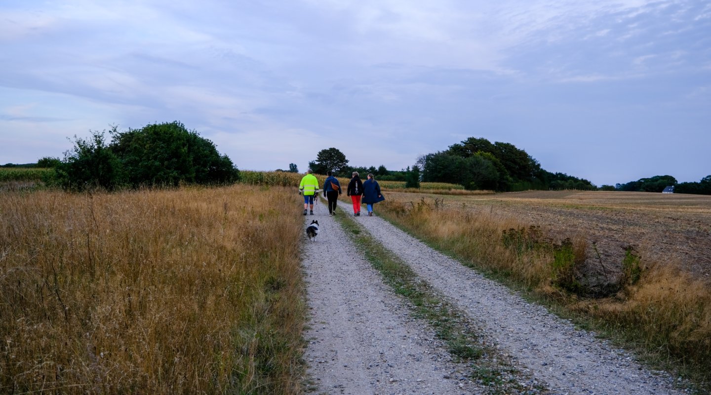 Connie Gudbjerg, der er gåvært i Jordrup, går en tur sammen med tre kvinder og en hund på en grusvej. Der er marker på begge sider af vejen.