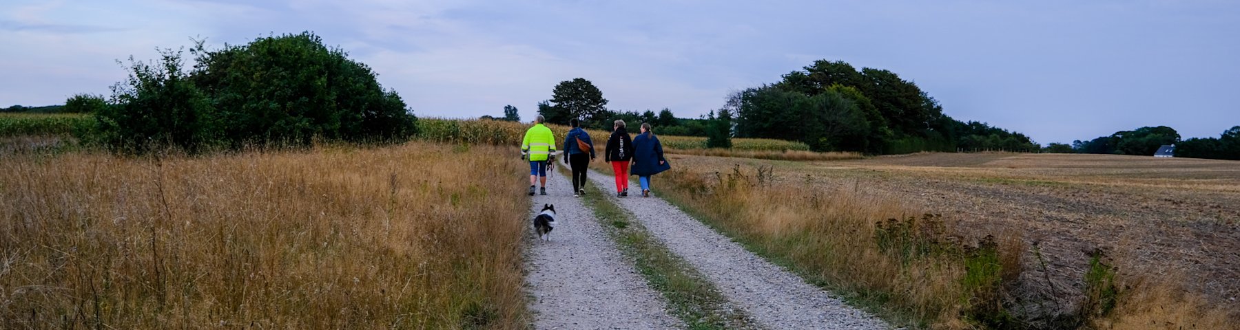 Connie Gudbjerg, der er gåvært i Jordrup, går en tur sammen med tre kvinder og en hund på en grusvej. Der er marker på begge sider af vejen.