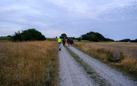 Connie Gudbjerg, der er gåvært i Jordrup, går en tur sammen med tre kvinder og en hund på en grusvej. Der er marker på begge sider af vejen.