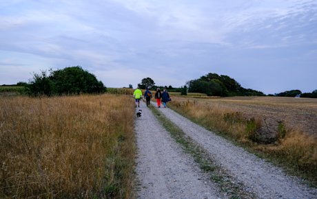Connie Gudbjerg, der er gåvært i Jordrup, går en tur sammen med tre kvinder og en hund på en grusvej. Der er marker på begge sider af vejen.
