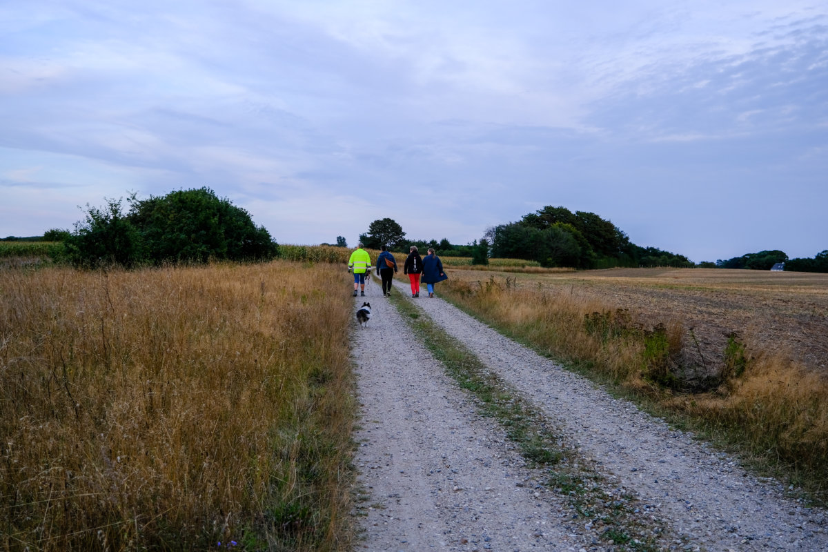 Connie Gudbjerg, der er gåvært i Jordrup, går en tur sammen med tre kvinder og en hund på en grusvej. Der er marker på begge sider af vejen.