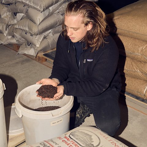 Philip Hulgaard sidder på hug i sit bryggeri foran en hvid spand og har løftet en stor håndfuld maltbyg op i sine hænder