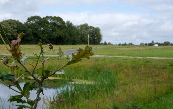 Udstykning med byggegrunde ved Ejersmindevej i Skanderup med regnvandsbassin og egetræ i forgrunden