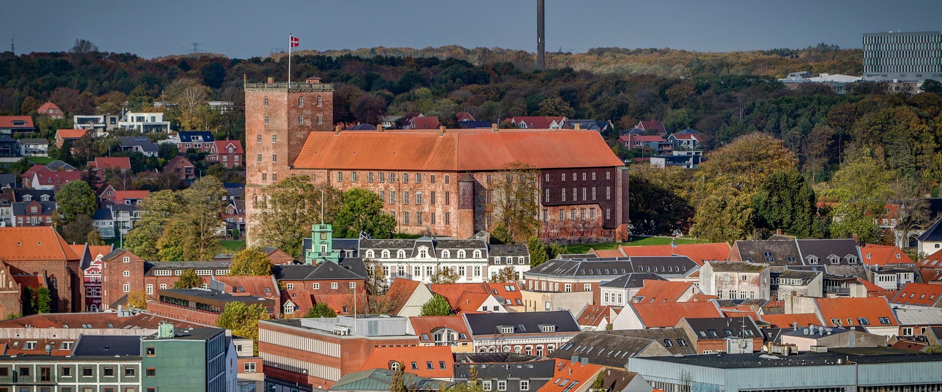 Koldinghus er placeret midt i billedet med by i forgrunden og Marielundskoven i baggrunden