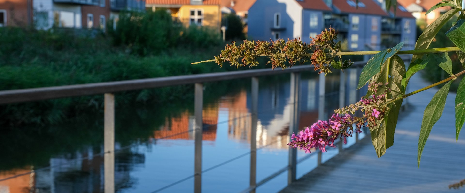 Gangbro langs Kolding Å midt i Kolding med byens huse i baggrunden