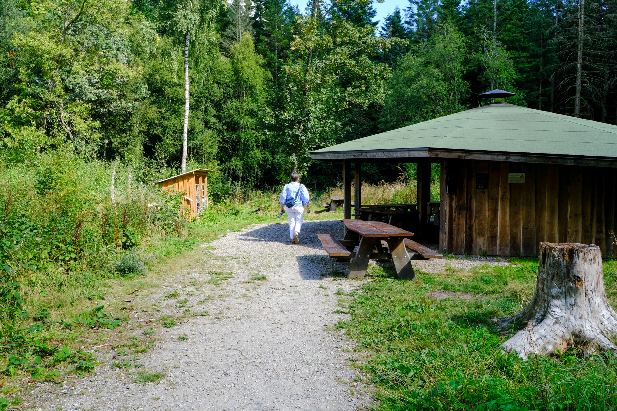 En person går forbi bålhytten i Drenderup Skov.