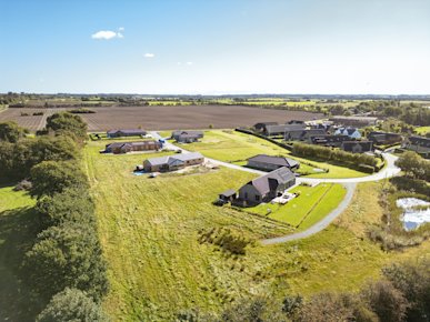 DJI 0338 x
