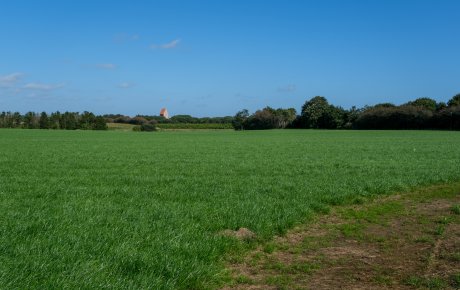 Udstykning af byggegrunde med navnet Bastrupsmindehave. Området er en kæmpestor græsmark. I baggrunden ses et skovbryn, og midt i skovbrynet ses Vamdrup Kirkes tårn