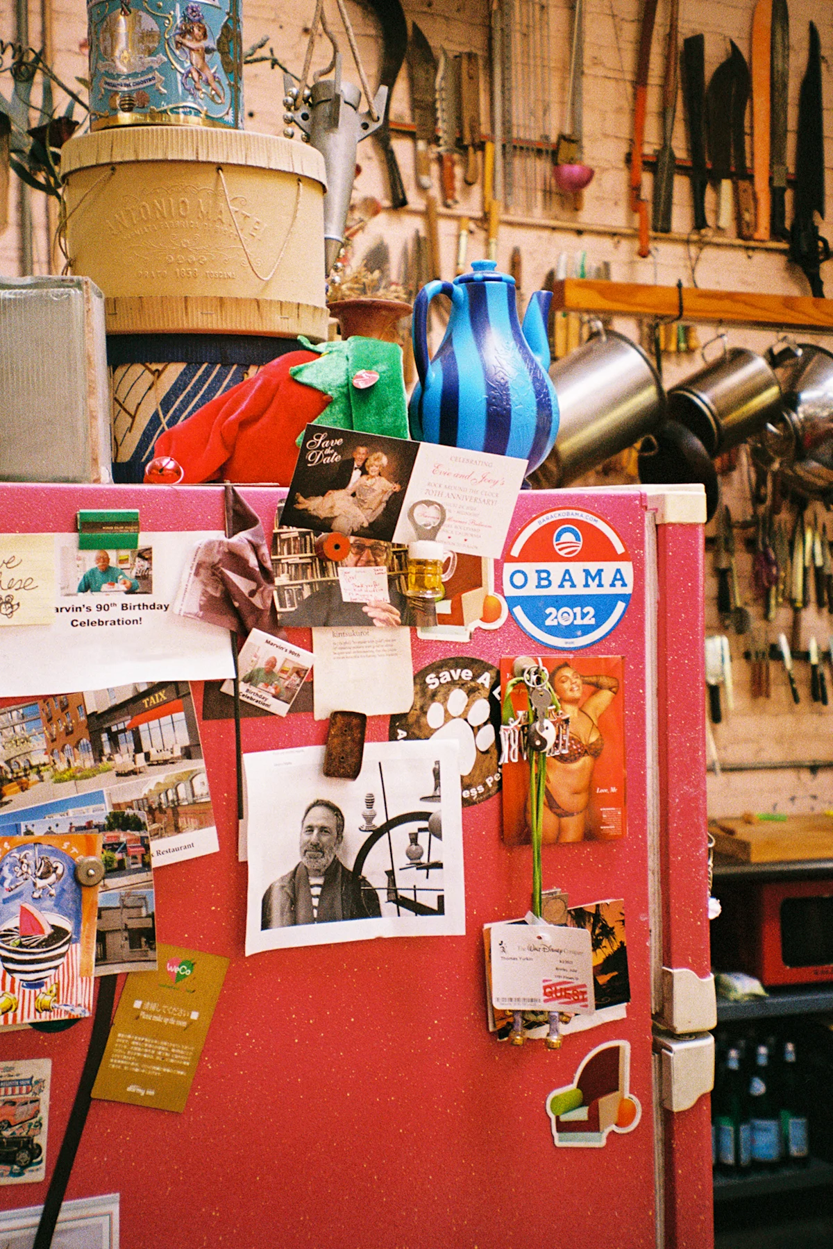 updated- Shire-AlisaMariaWronski-film-6