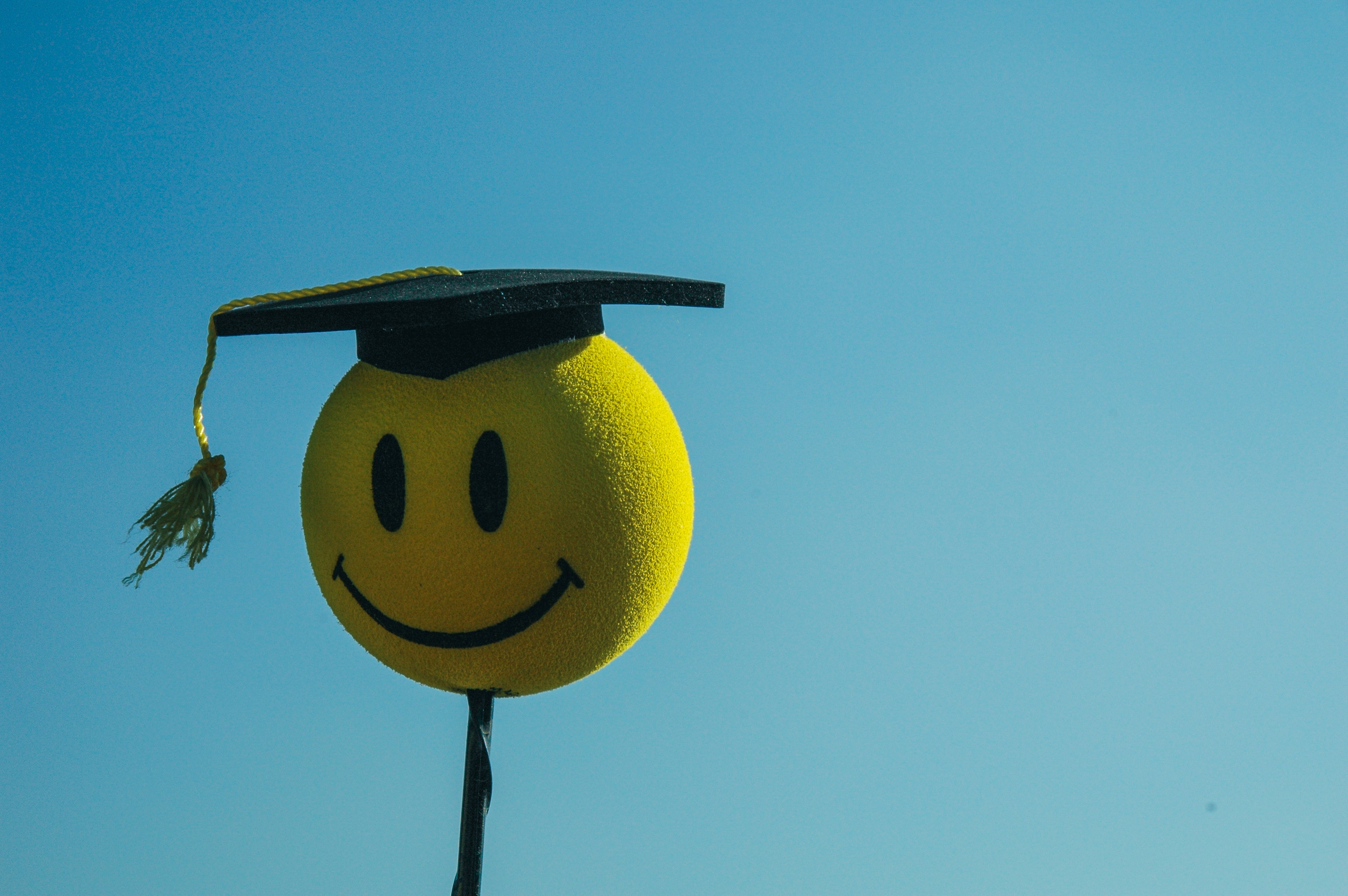 comparing-student-loan-forgiveness-options-which-is-right-for-you