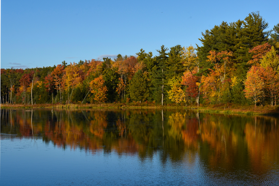 Traveler's Guide to the Best Fall Foliage Spots in 2023 - Triptuitive