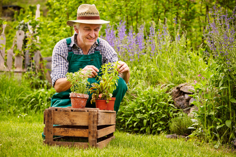 Get Your Green Thumb: A Beginner's Guide to Home Gardening