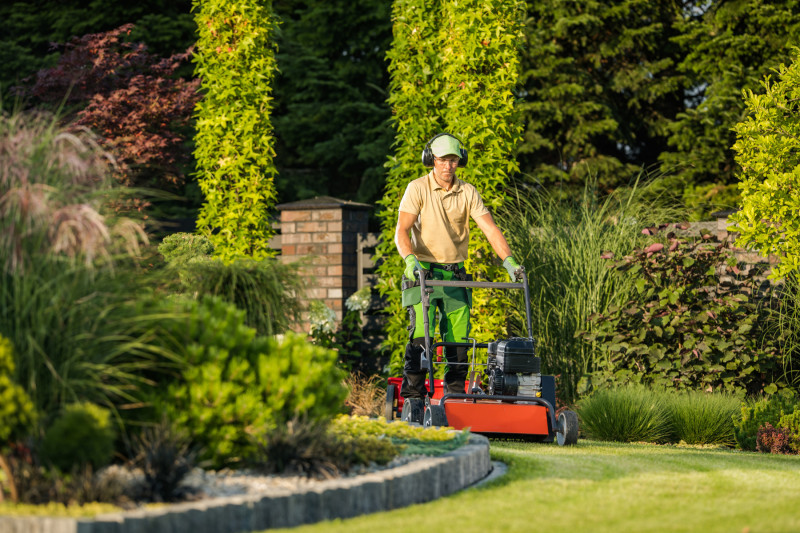 10 Common Lawn Care Mistakes to Avoid