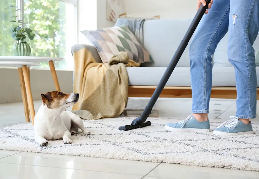 Unveiling the Mystery Behind Musty Odors in Your Home and Solutions to