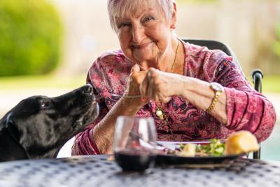 Nutrition 101: Keeping Healthy in Your Later Years