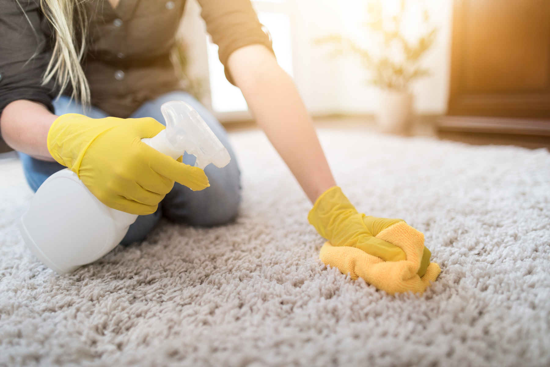 Take Control of Stubborn Carpet Stains with These Tips The Answer Seeker