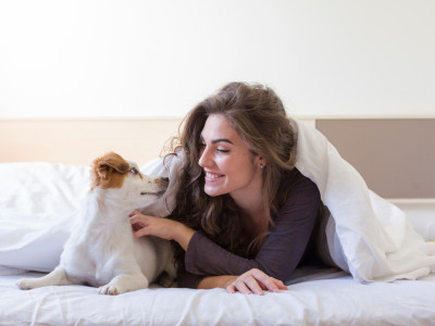 Pet-Friendly Living: How to Create a Safe and Comfortable Space for Your Pet