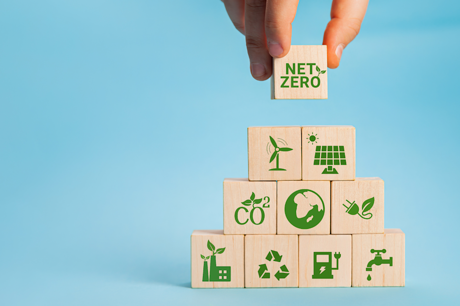Eco-Warrior 101: Everyday Habits to Help Tackle Climate Change Head-On ...