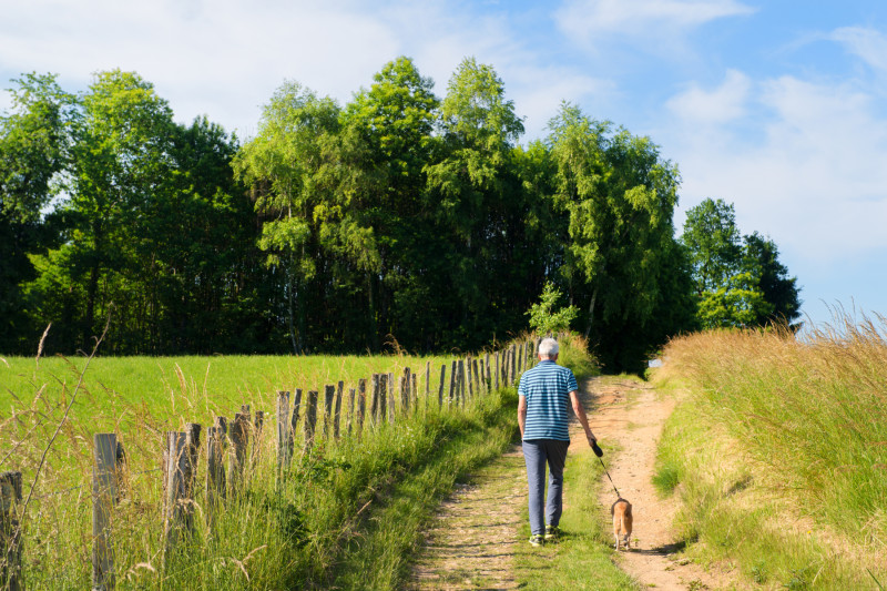 11 Reasons Why Starting Your Day With a Walk Is Vital