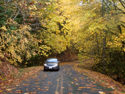 Driving in Autumn? Don’t Fall for Slippery Roads With These Tips