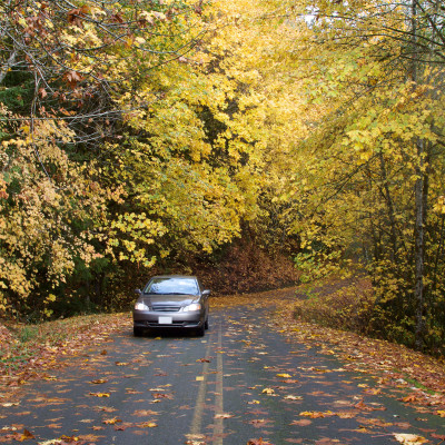 Driving in Autumn? Don’t Fall for Slippery Roads With These Tips