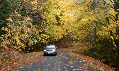 Driving in Autumn? Don’t Fall for Slippery Roads With These Tips