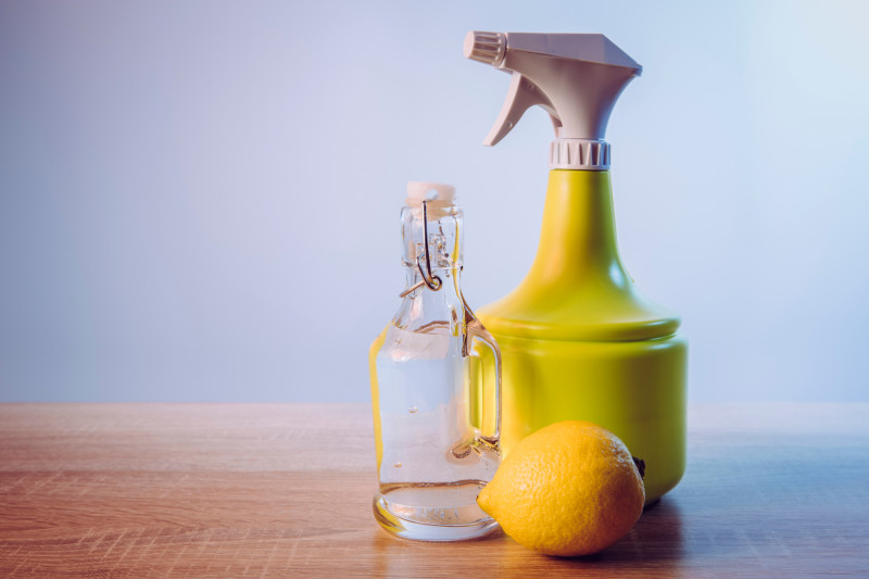 Nature's Cleaners: How to Clean Your Home the Eco-Friendly Way