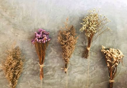 Extending the Life of Blooms: Innovative Methods to Preserve Flowers