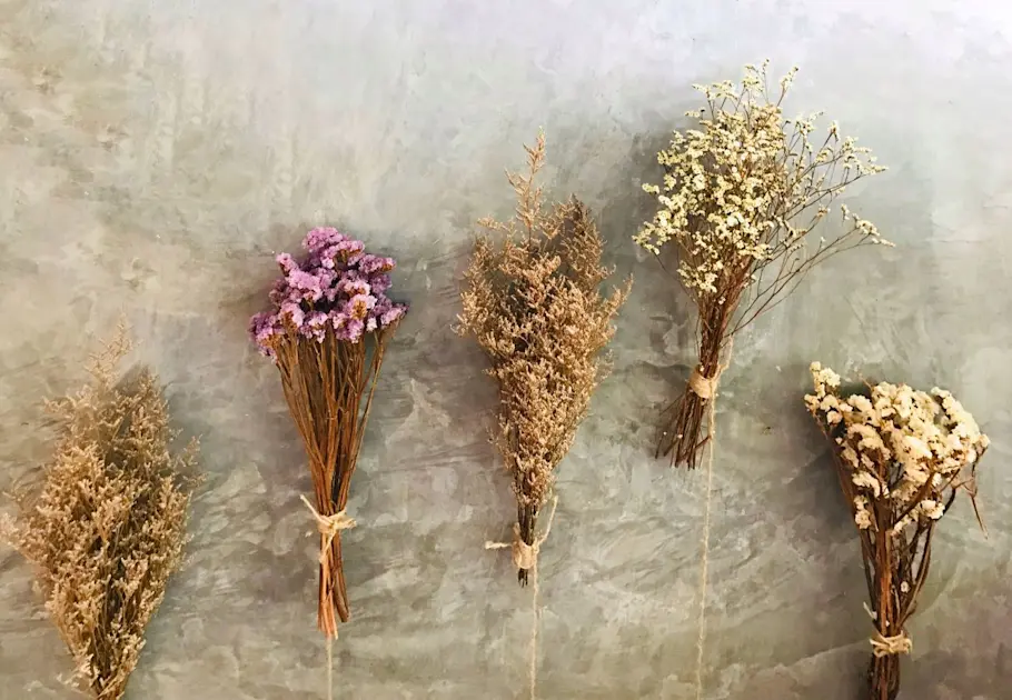 Extending The Life Of Blooms Innovative Methods To Preserve Flowers