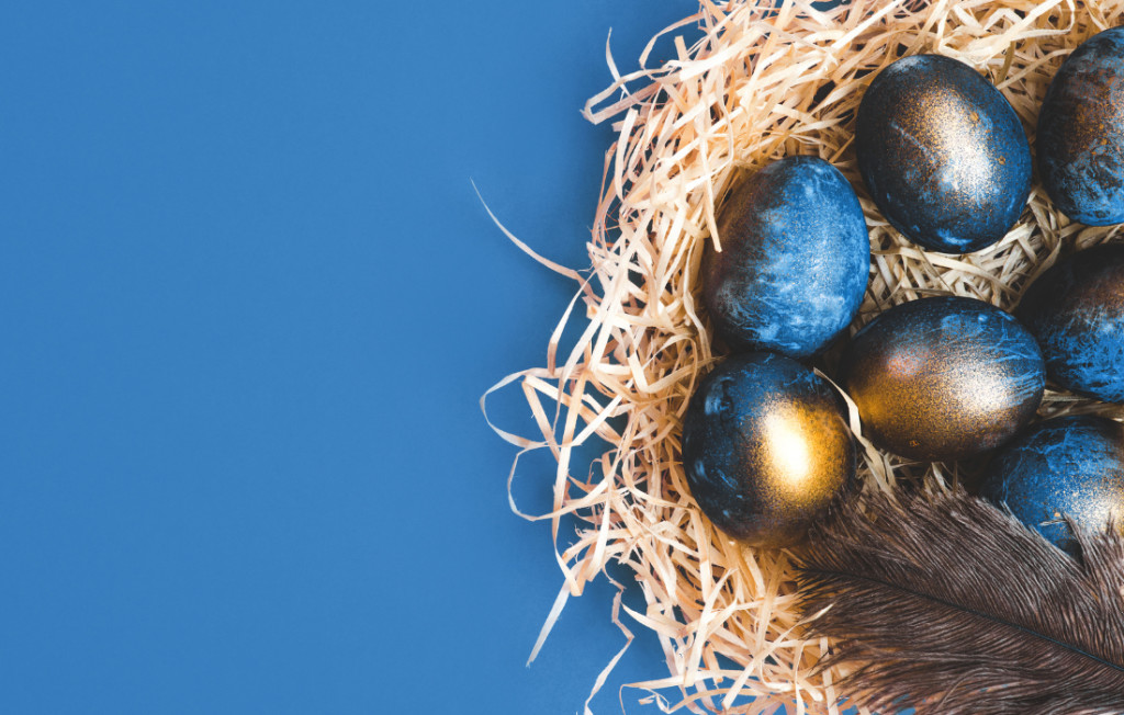How to Grow Your Nest Egg and Prepare for Financial Emergencies