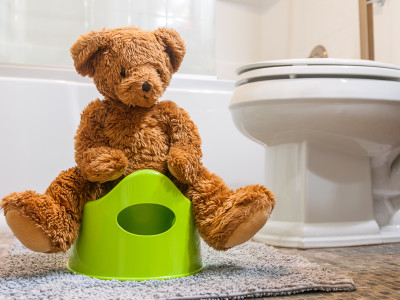 Potty Training: A Parent's Guide to Success 