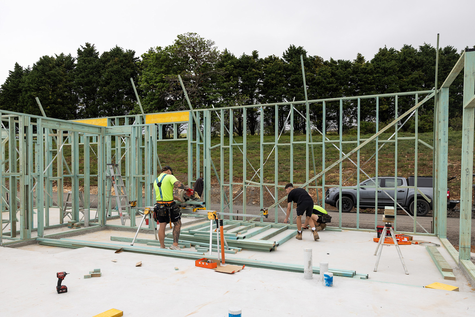 Secondary Dwelling: Framing Begins — image 1