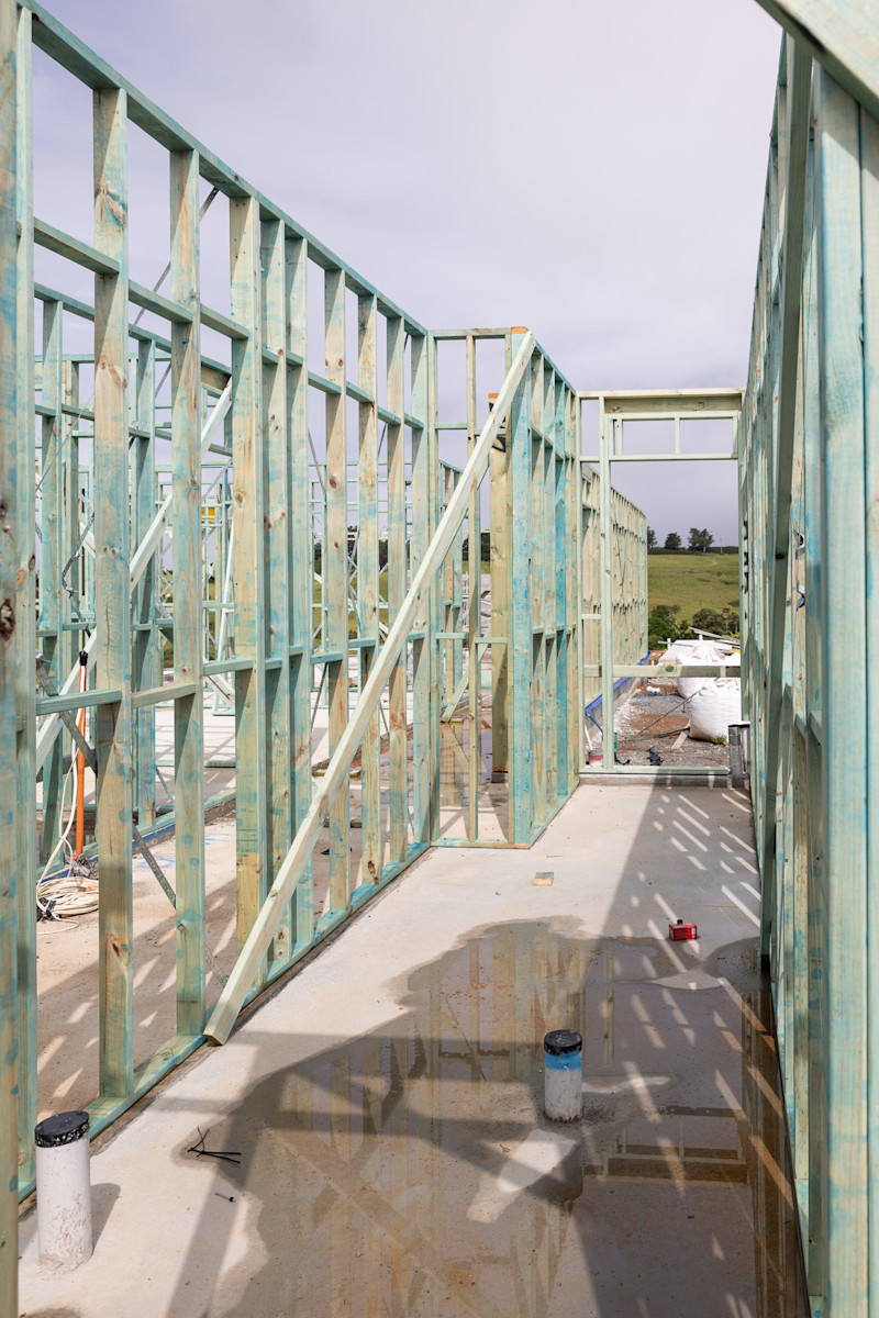 Main Dwelling: Framing Begins — image 2