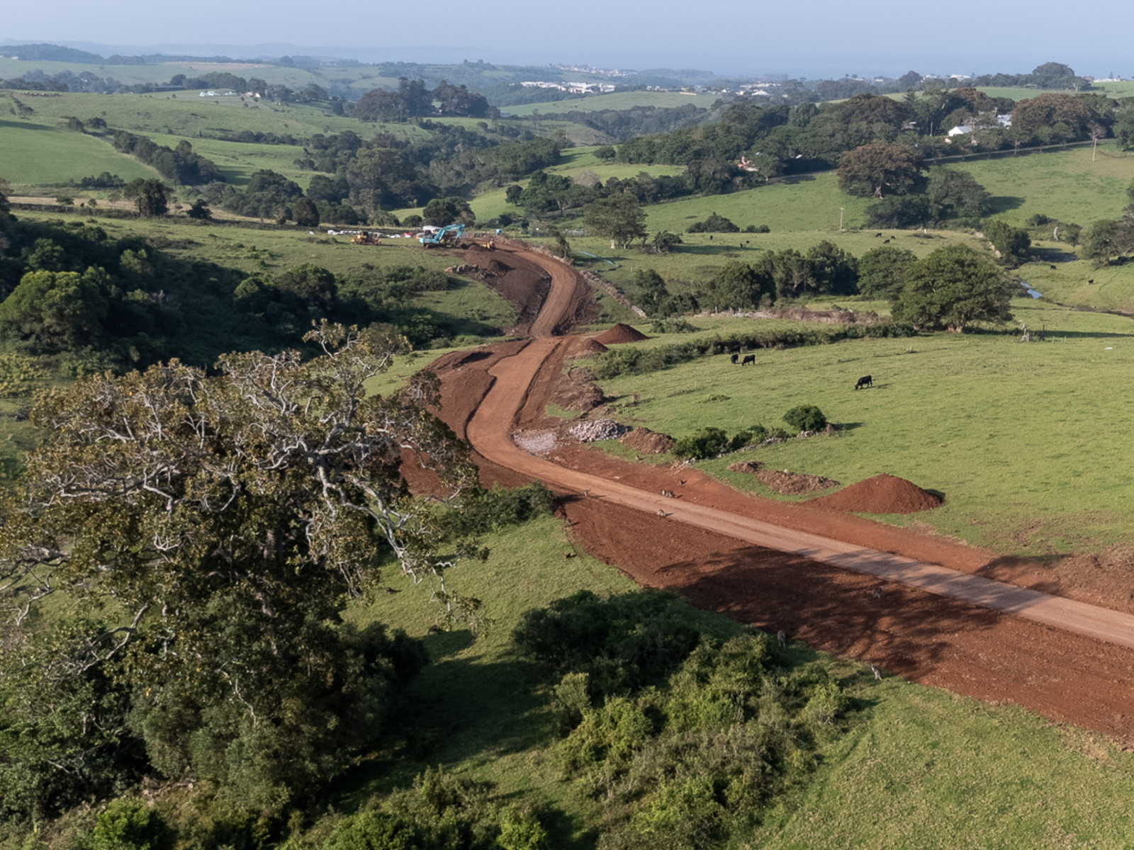 Rock Obstacles Successfully Cleared — image 1