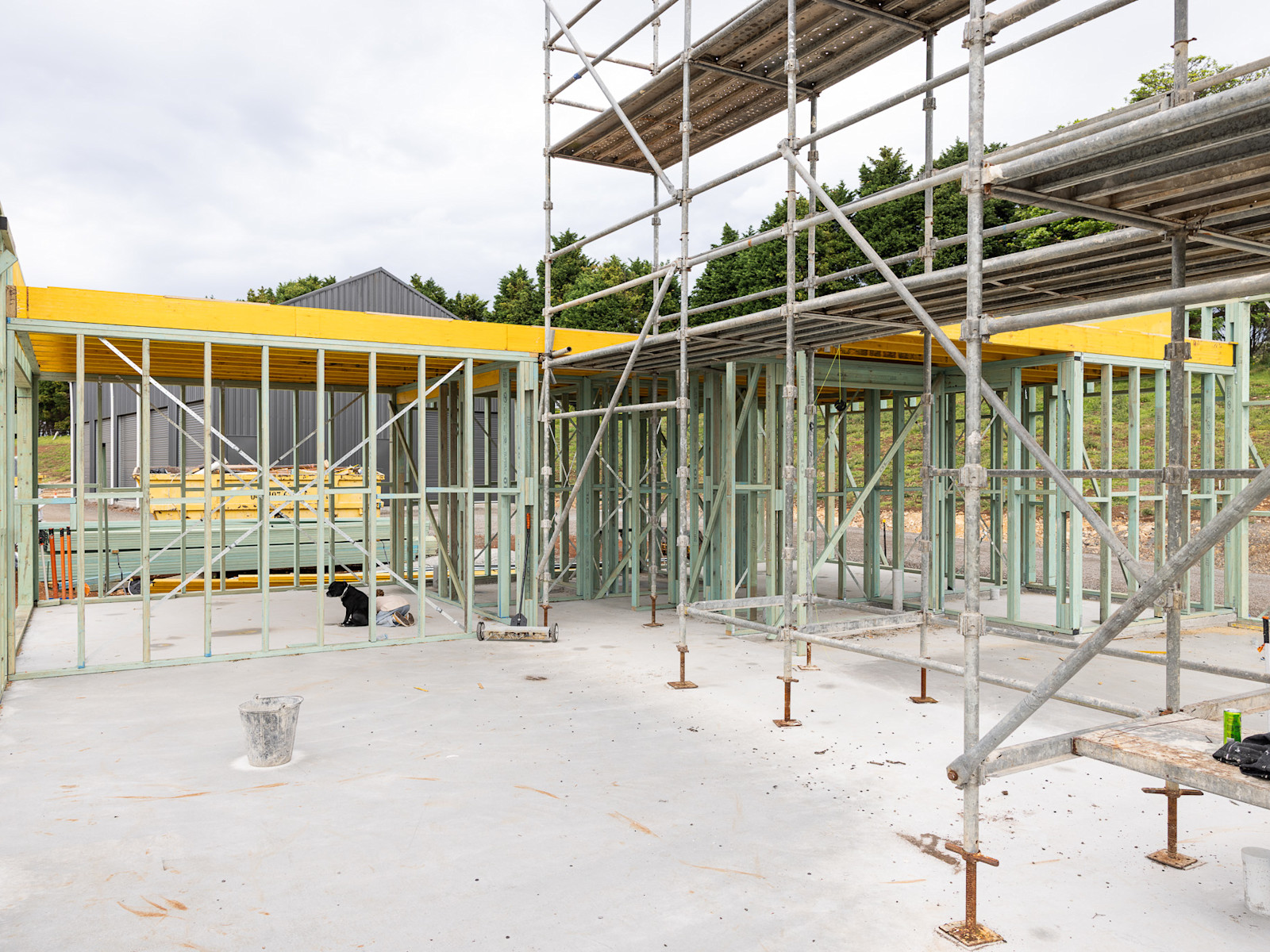 Secondary Dwelling: Framing Begins — image 4