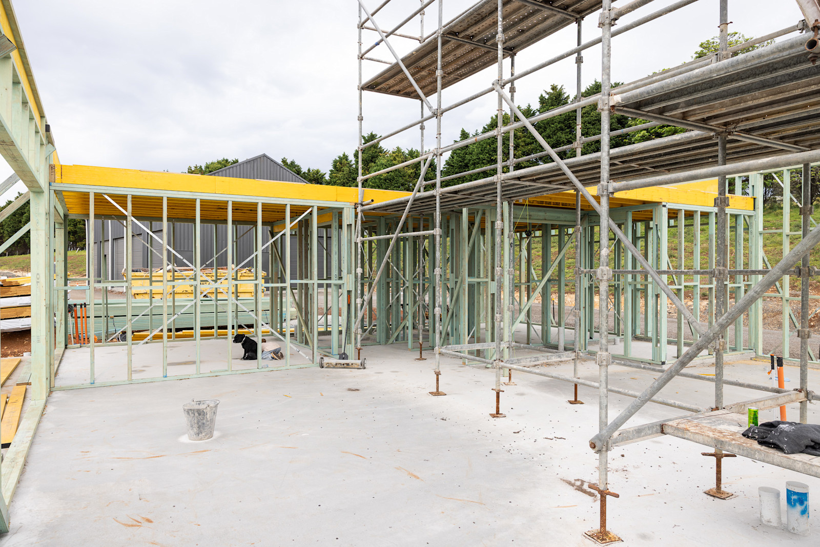 Secondary Dwelling: Framing Begins — image 4