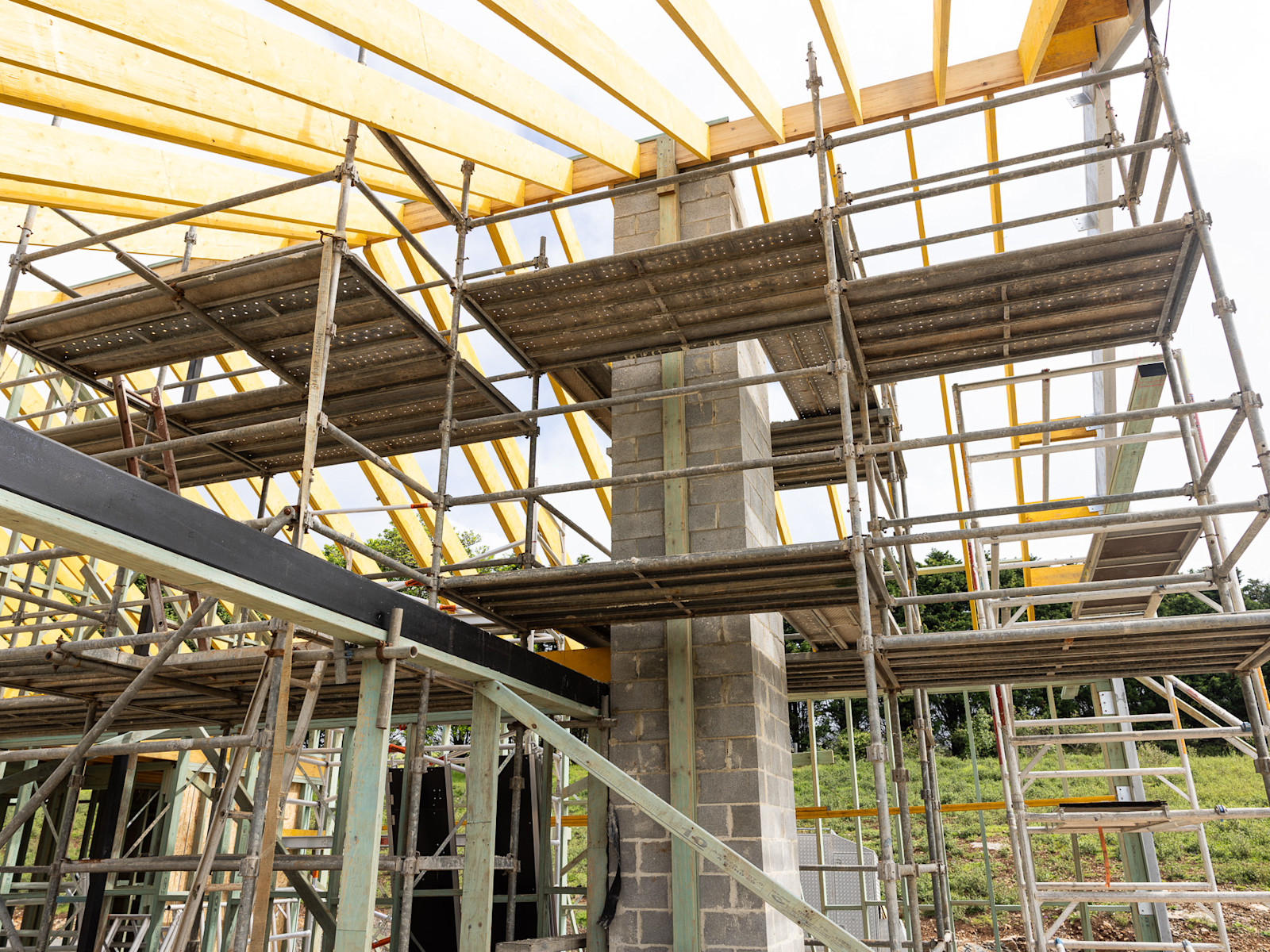 Secondary Dwelling: Trusses Up — image 4