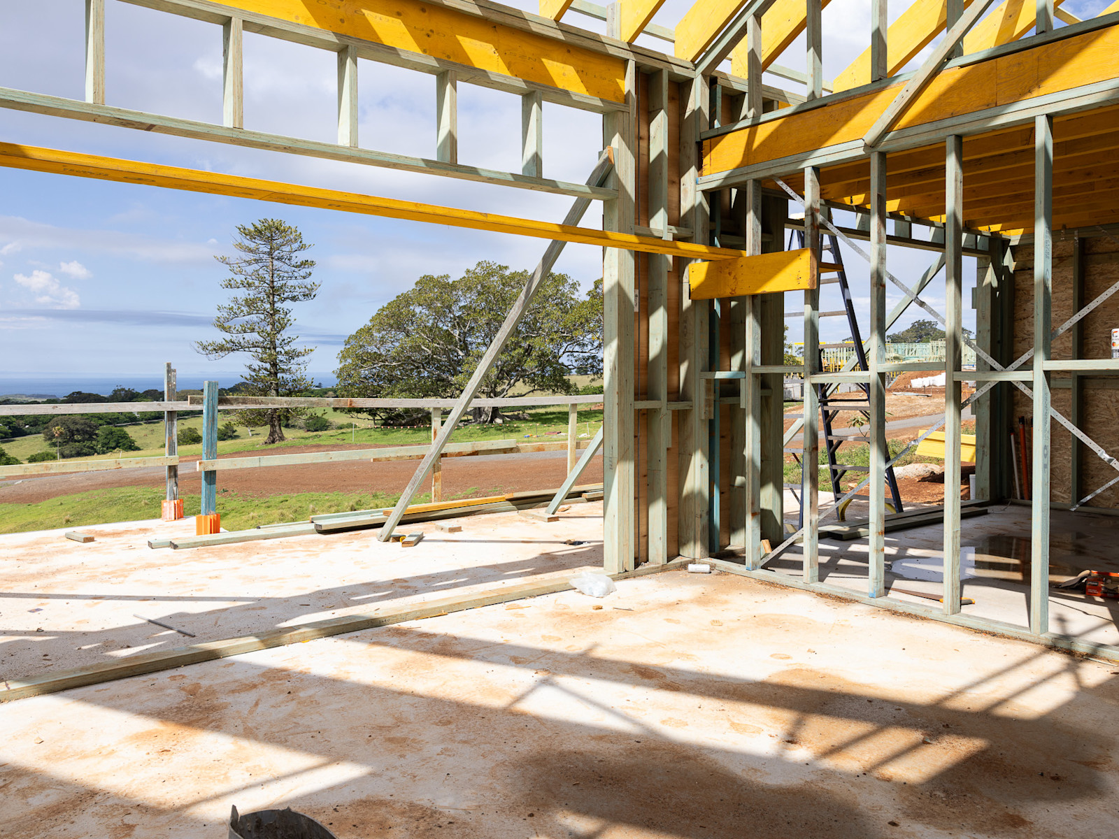 Secondary Dwelling: Trusses Up — image 2