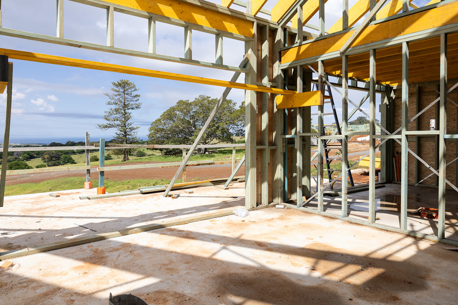 Secondary Dwelling: Trusses Up — image 2